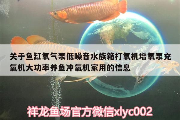 关于鱼缸氧气泵低噪音水族箱打氧机增氧泵充氧机大功率养鱼冲氧机家用的信息 鱼缸/水族箱