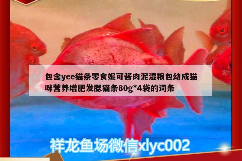 包含yee猫条零食妮可酱肉泥湿粮包幼成猫咪营养增肥发腮猫条80g*4袋的词条