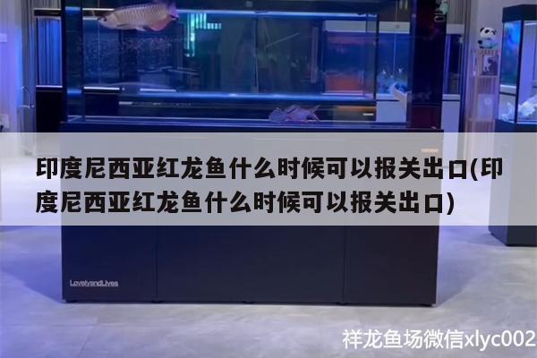 印度尼西亚红龙鱼什么时候可以报关出口(印度尼西亚红龙鱼什么时候可以报关出口) 图腾金龙鱼