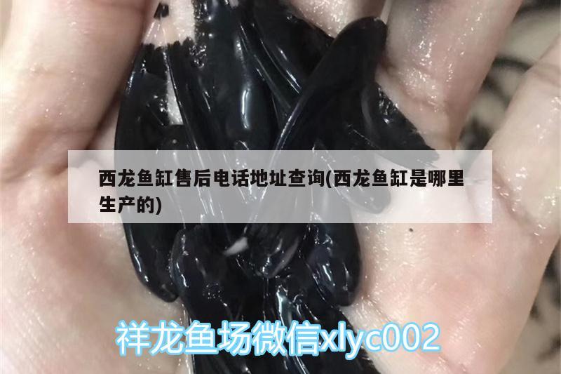 西龙鱼缸售后电话地址查询(西龙鱼缸是哪里生产的) 充氧泵