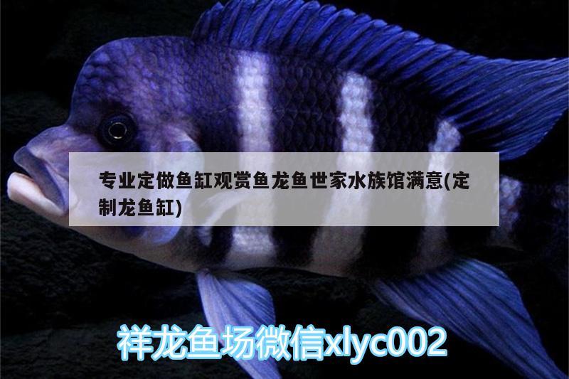 专业定做鱼缸观赏鱼龙鱼世家水族馆满意(定制龙鱼缸)