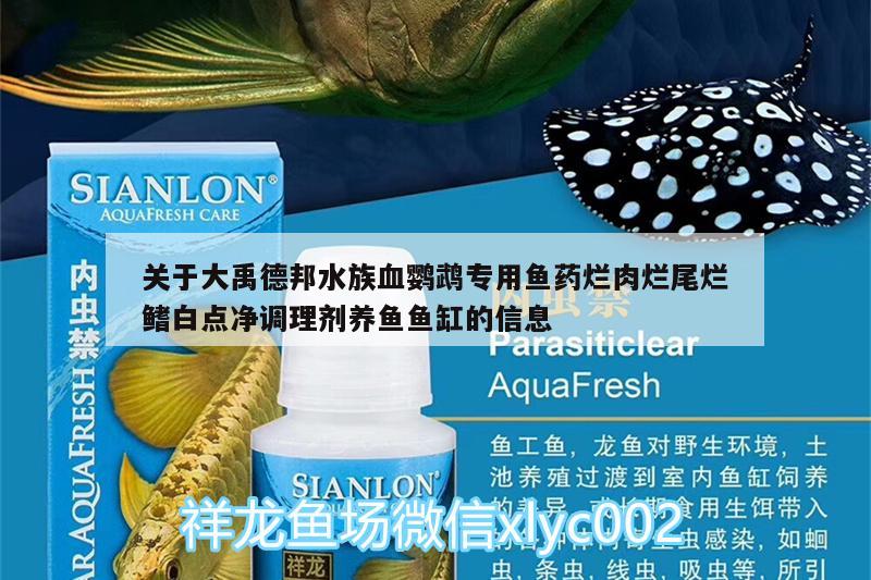 关于大禹德邦水族血鹦鹉专用鱼药烂肉烂尾烂鳍白点净调理剂养鱼鱼缸的信息