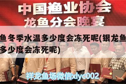 银龙鱼冬季水温多少度会冻死呢(银龙鱼冬季水温多少度会冻死呢) 银龙鱼