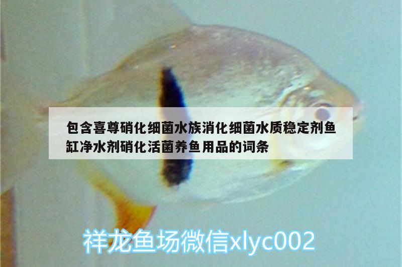 包含喜尊硝化细菌水族消化细菌水质稳定剂鱼缸净水剂硝化活菌养鱼用品的词条