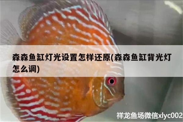 森森鱼缸灯光设置怎样还原(森森鱼缸背光灯怎么调)