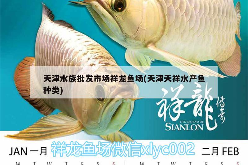 天津水族批发市场祥龙鱼场(天津天祥水产鱼种类) 观赏鱼水族批发市场 第2张