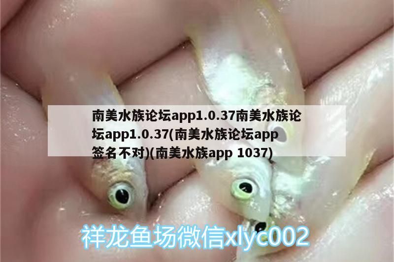 南美水族论坛app1.0.37南美水族论坛app1.0.37(南美水族论坛app签名不对)(南美水族app1037)