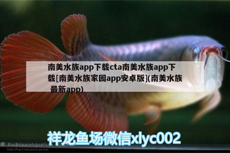 南美水族app下载cta南美水族app下载[南美水族家园app安卓版](南美水族最新app)