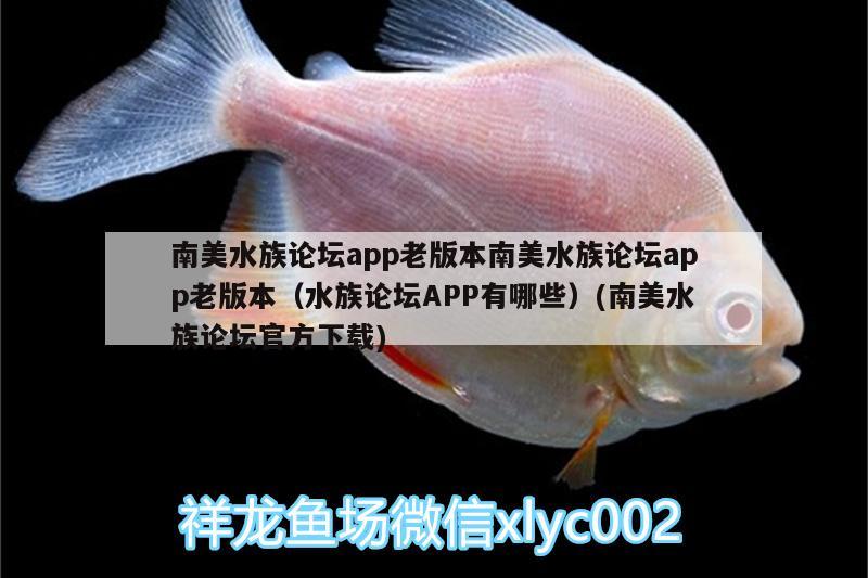 南美水族论坛app老版本南美水族论坛app老版本（水族论坛APP有哪些）(南美水族论坛官方下载) 雪龙鱼 第2张