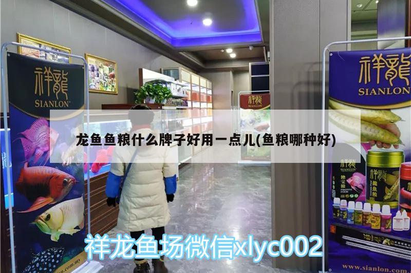 龙鱼鱼粮什么牌子好用一点儿(鱼粮哪种好) 祥龙鱼场品牌产品