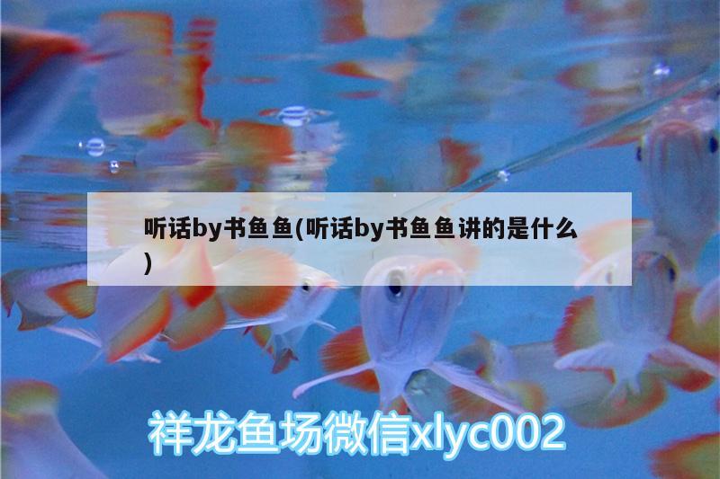 听话by书鱼鱼(听话by书鱼鱼讲的是什么)