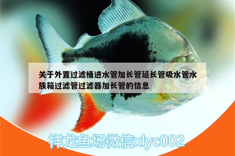 关于外置过滤桶进水管加长管延长管吸水管水族箱过滤管过滤器加长管的信息 鱼缸/水族箱