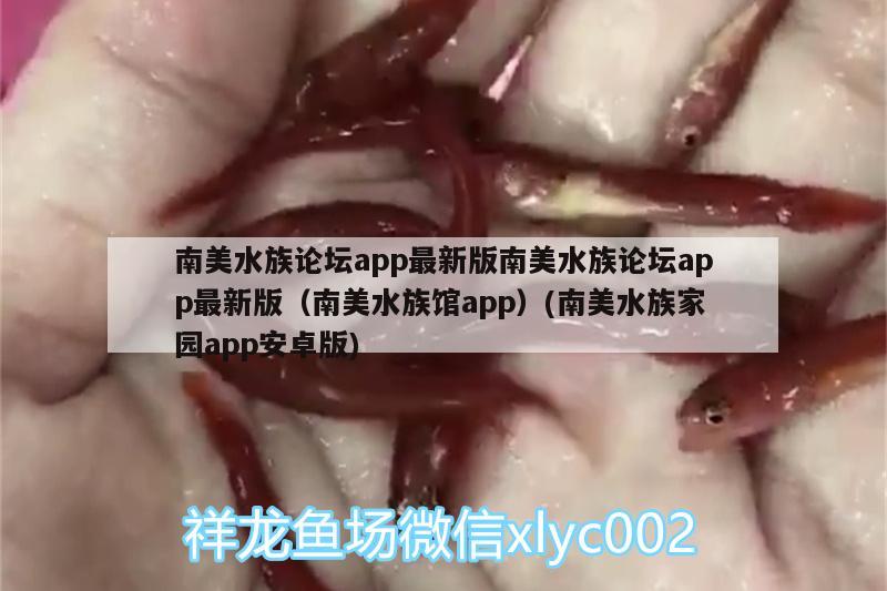 南美水族论坛app最新版南美水族论坛app最新版（南美水族馆app）(南美水族家园app安卓版)