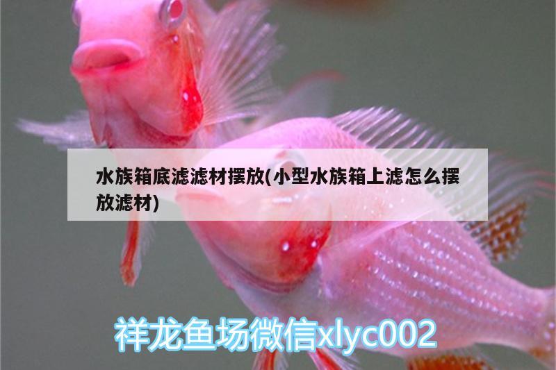 水族箱底滤滤材摆放(小型水族箱上滤怎么摆放滤材) 鱼缸/水族箱