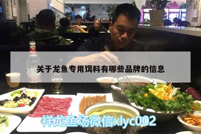 关于龙鱼专用饵料有哪些品牌的信息