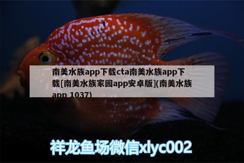 南美水族app下载cta南美水族app下载[南美水族家园app安卓版](南美水族app1037)