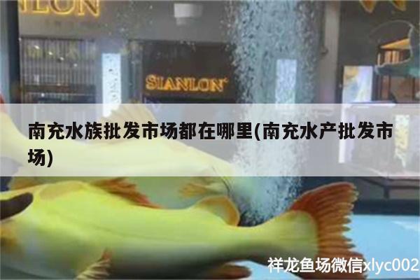 南充水族批发市场都在哪里(南充水产批发市场)