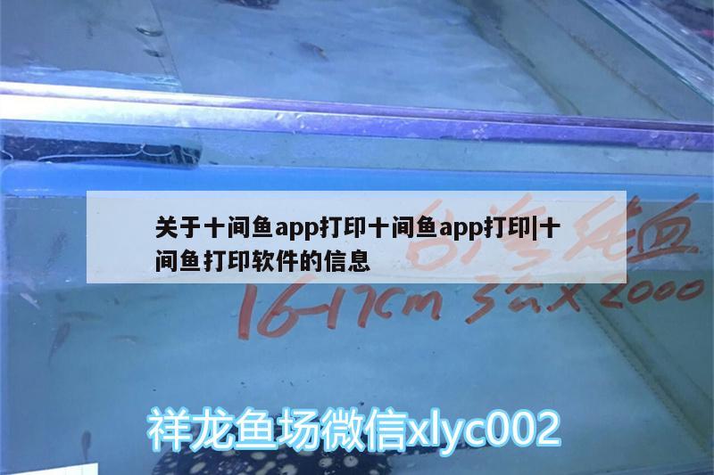 关于十间鱼app打印十间鱼app打印|十间鱼打印软件的信息 银龙鱼