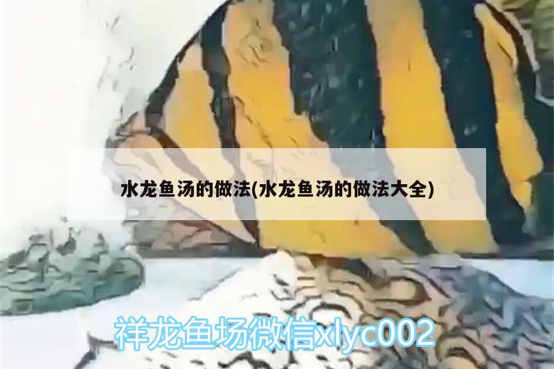 水龙鱼汤的做法(水龙鱼汤的做法大全)