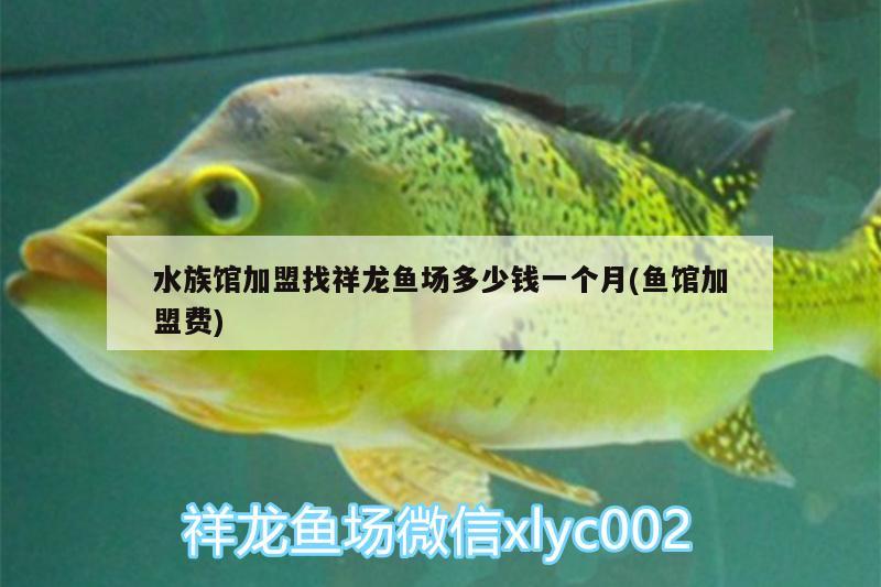 水族馆加盟找祥龙鱼场多少钱一个月(鱼馆加盟费)