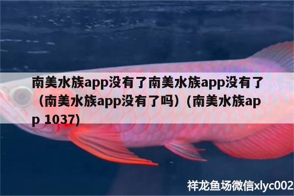 南美水族app没有了南美水族app没有了（南美水族app没有了吗）(南美水族app1037)