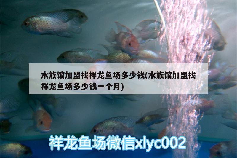 水族馆加盟找祥龙鱼场多少钱(水族馆加盟找祥龙鱼场多少钱一个月) 祥龙鱼场