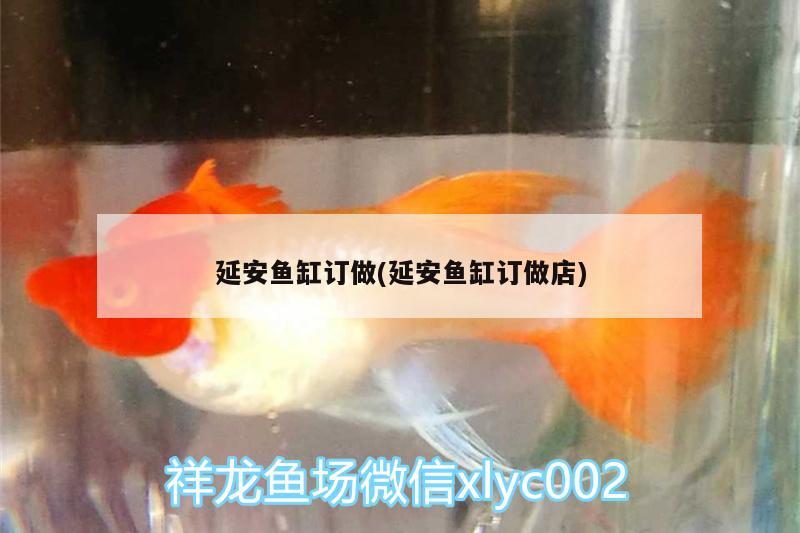 延安鱼缸订做(延安鱼缸订做店) 祥龙龙鱼专用水族灯