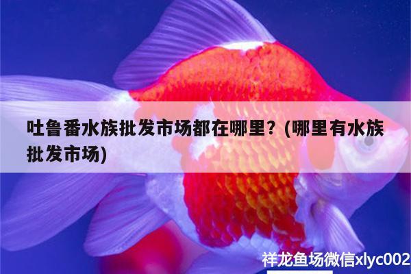 吐鲁番水族批发市场都在哪里？(哪里有水族批发市场)