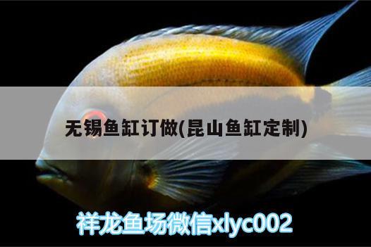 无锡鱼缸订做(昆山鱼缸定制) 水族用品