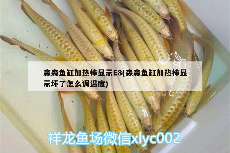 森森鱼缸加热棒显示E8(森森鱼缸加热棒显示坏了怎么调温度)