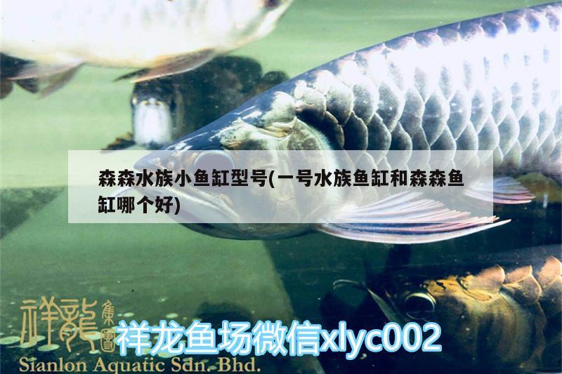 森森水族小鱼缸型号(一号水族鱼缸和森森鱼缸哪个好)