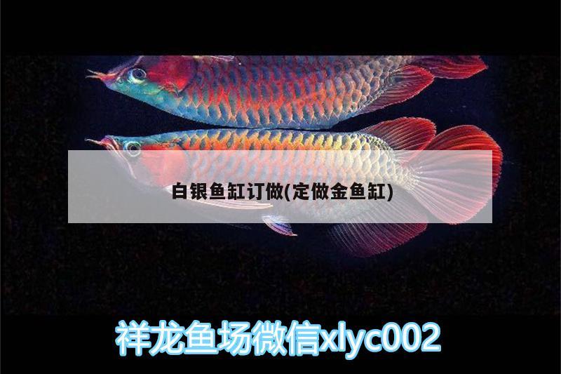 白银鱼缸订做(定做金鱼缸)