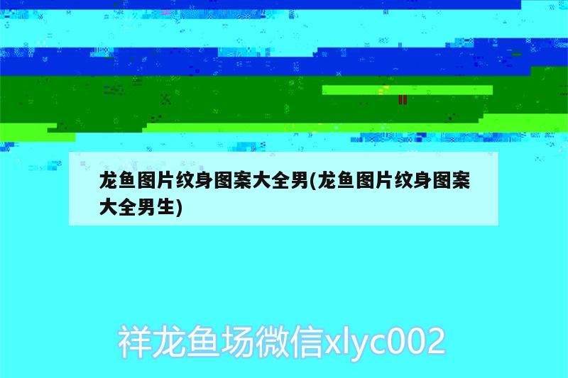 龙鱼图片纹身图案大全男(龙鱼图片纹身图案大全男生) 锦鲤池鱼池建设