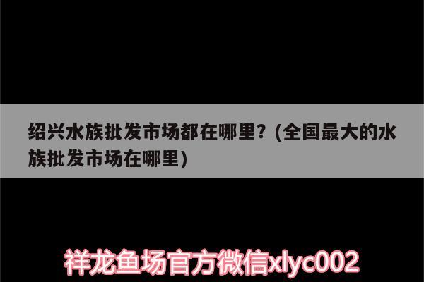 绍兴水族批发市场都在哪里？(全国最大的水族批发市场在哪里) 观赏鱼水族批发市场