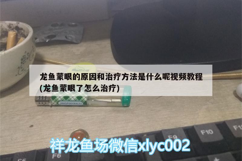 龙鱼蒙眼的原因和治疗方法是什么呢视频教程(龙鱼蒙眼了怎么治疗)