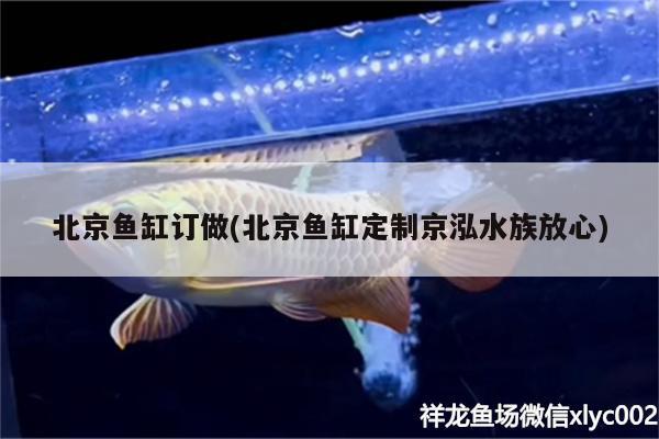 北京鱼缸订做(北京鱼缸定制京泓水族放心)