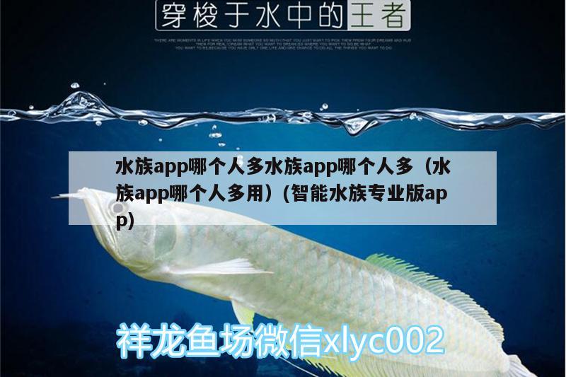 水族app哪个人多水族app哪个人多（水族app哪个人多用）(智能水族专业版app)