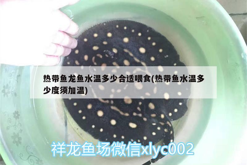 热带鱼龙鱼水温多少合适喂食(热带鱼水温多少度须加温)