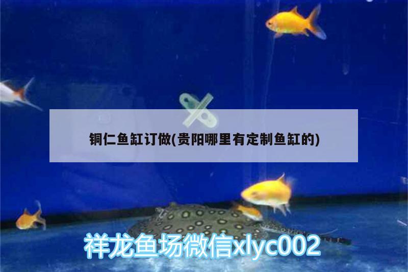 铜仁鱼缸订做(贵阳哪里有定制鱼缸的) 水族维护服务（上门）