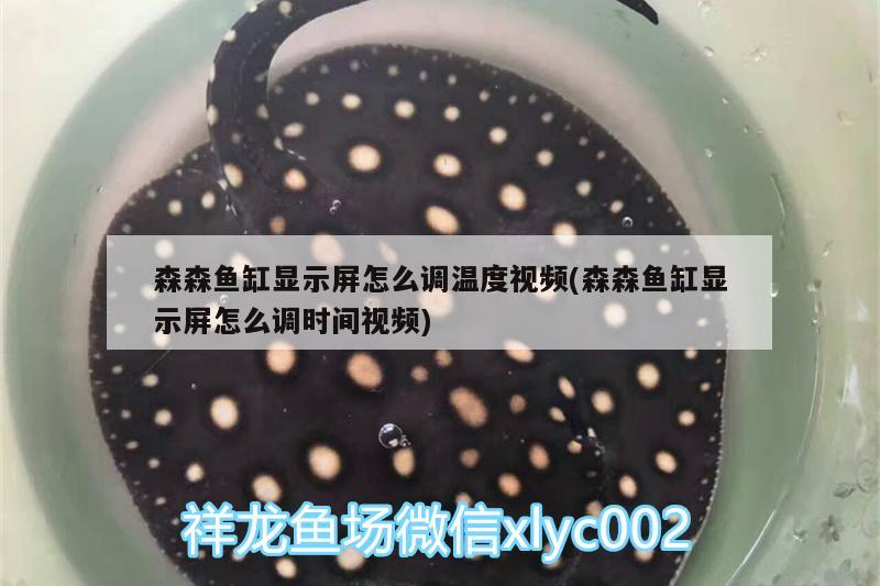 森森鱼缸显示屏怎么调温度视频(森森鱼缸显示屏怎么调时间视频)