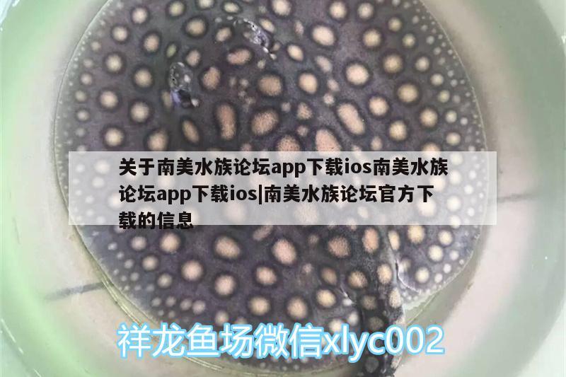 关于南美水族论坛app下载ios南美水族论坛app下载ios|南美水族论坛官方下载的信息 巴西亚鱼苗