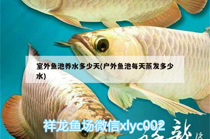 室外鱼池养水多少天(户外鱼池每天蒸发多少水) 白玉红龙鱼 第2张