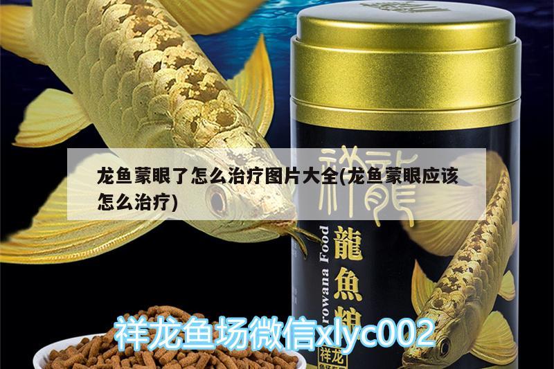 龙鱼蒙眼了怎么治疗图片大全(龙鱼蒙眼应该怎么治疗) 定时器/自控系统