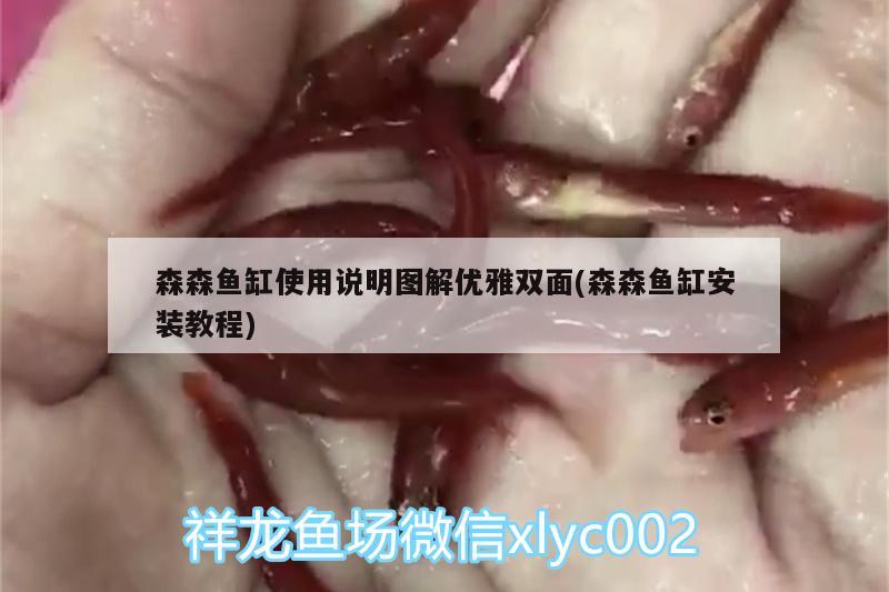 森森鱼缸使用说明图解优雅双面(森森鱼缸安装教程) 斯维尼关刀鱼