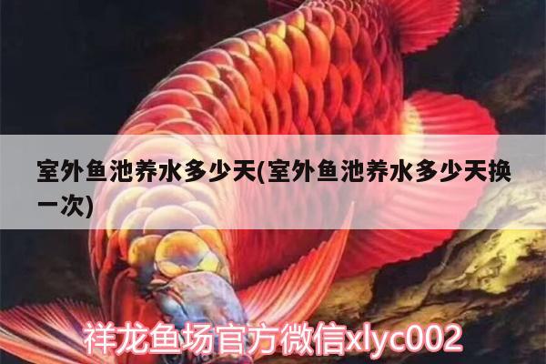 室外鱼池养水多少天(室外鱼池养水多少天换一次)