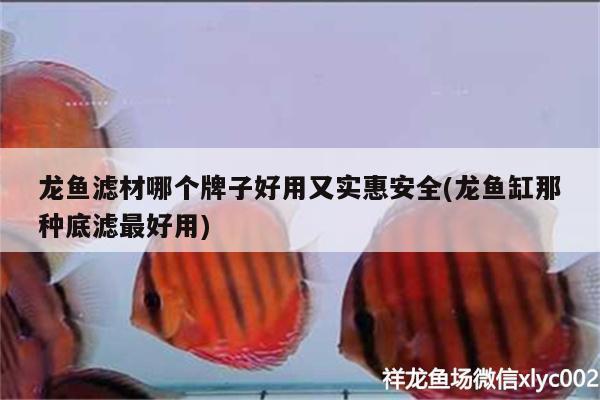 龙鱼滤材哪个牌子好用又实惠安全(龙鱼缸那种底滤最好用)