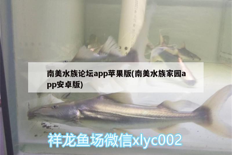 南美水族论坛app苹果版(南美水族家园app安卓版) 帝王血钻