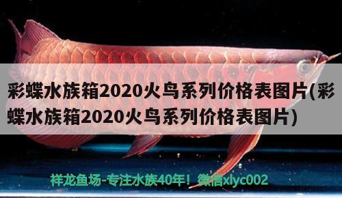 彩蝶水族箱2020火鸟系列价格表图片(彩蝶水族箱2020火鸟系列价格表图片) 鱼缸/水族箱