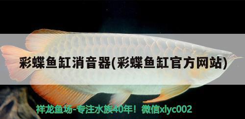 彩蝶鱼缸消音器(彩蝶鱼缸官方网站)