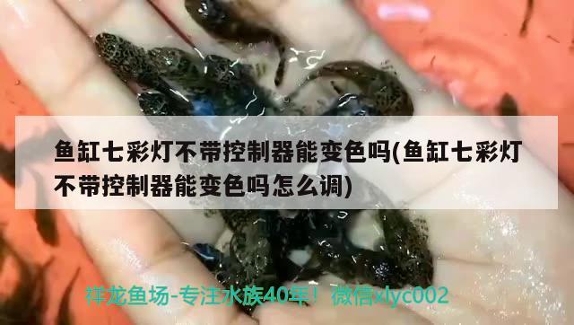 鱼缸七彩灯不带控制器能变色吗(鱼缸七彩灯不带控制器能变色吗怎么调)